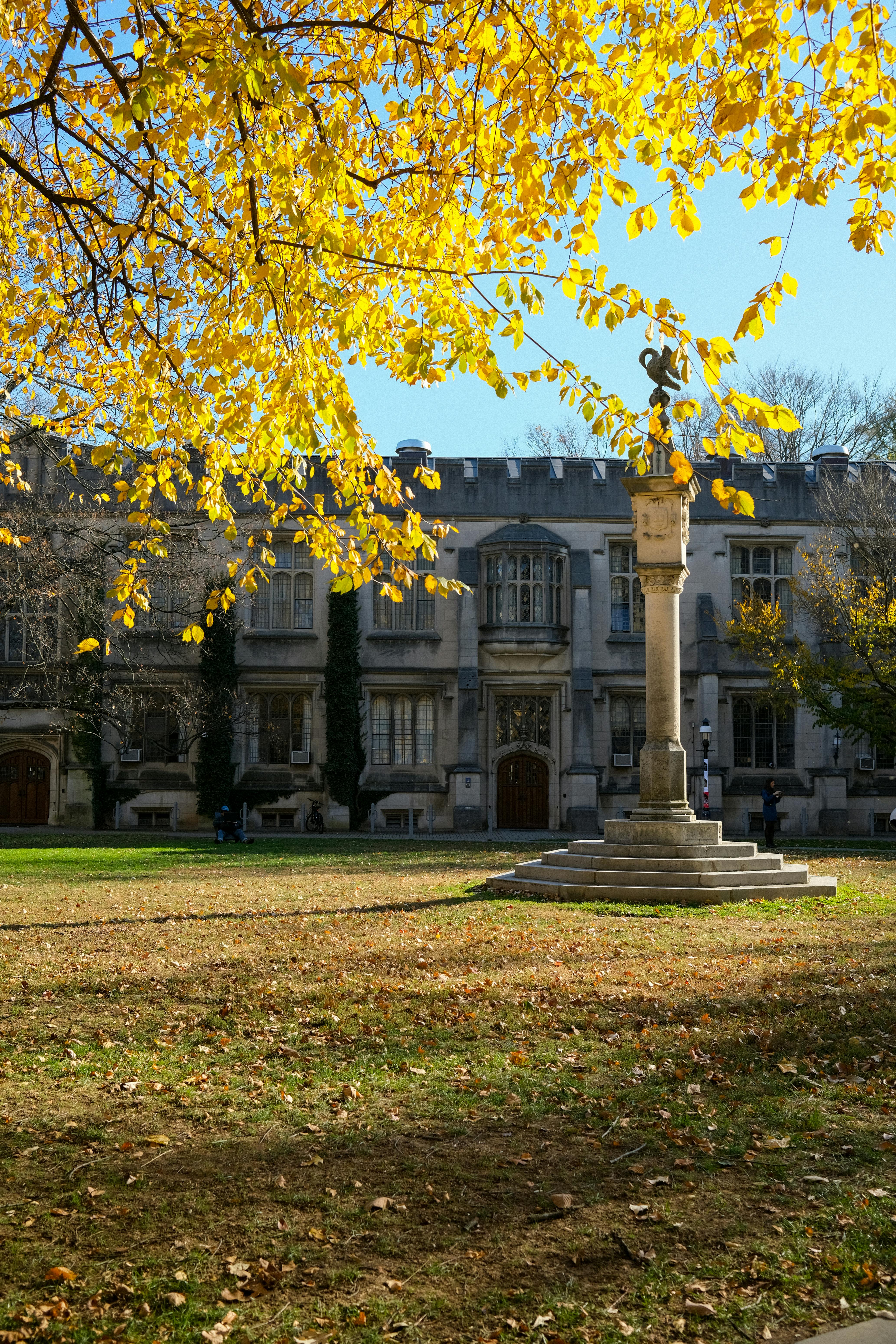 Career in New Zealand