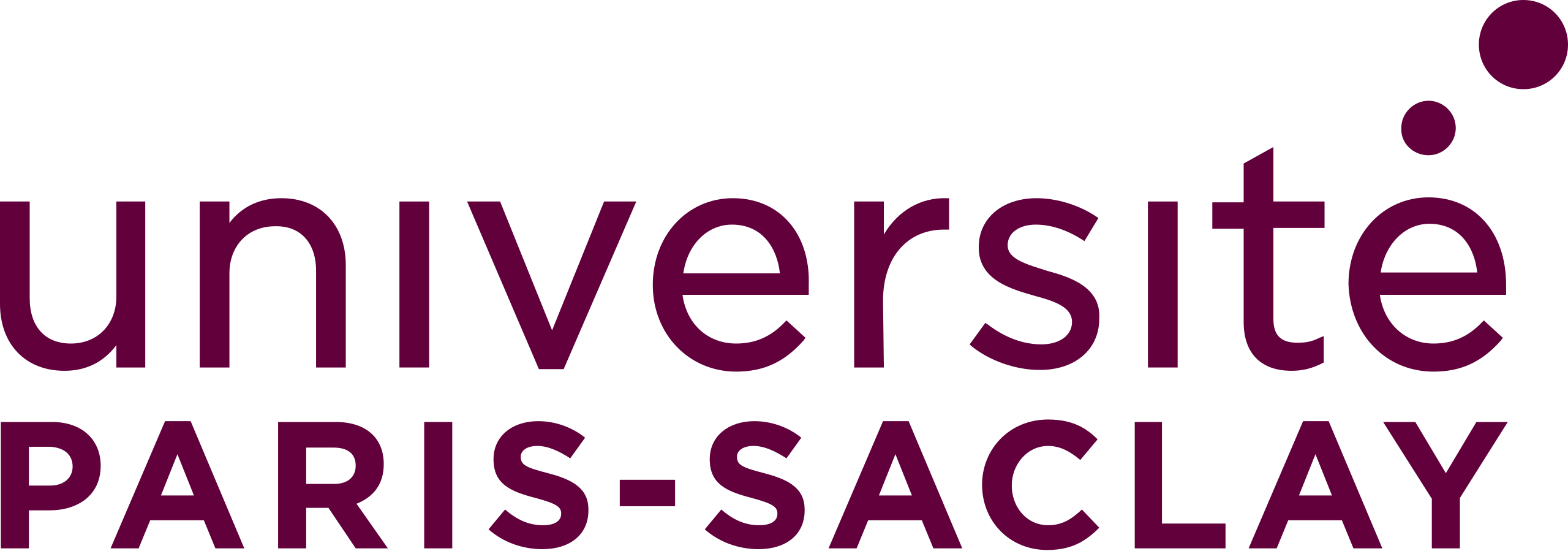 Paris-Saclay University Logo